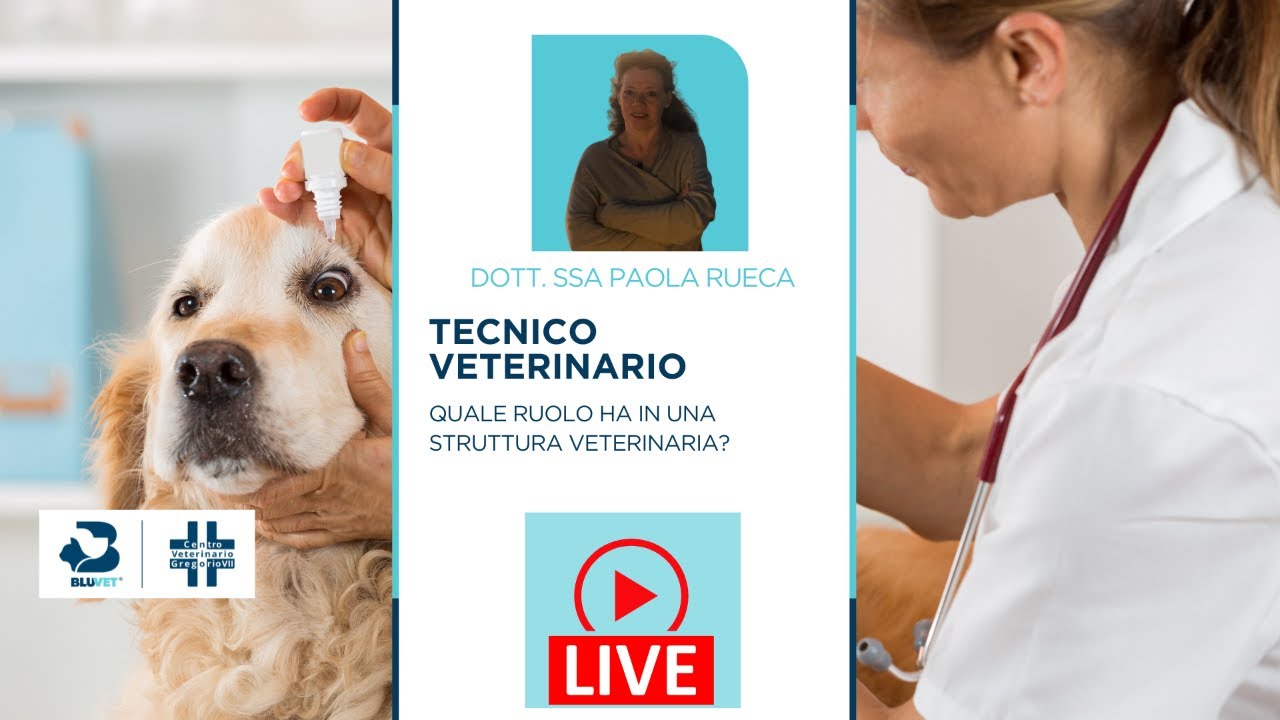 Logo Tecnico Veterinario Curso Auxiliar Técnico Veterinario