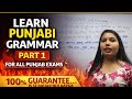 Punjabi Grammar Part 1 || Is Se Bahar Nhi Aayga || 100% Guarantee||