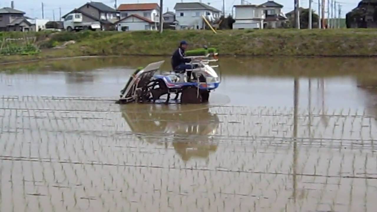 Cara menanam Padi di Japan.(By.Noto&Muly record) 