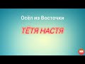 Тётя Настя. Серия "Отморозок из Восточки. В продолжение диалога в конце  Серии N62.,,"из архива