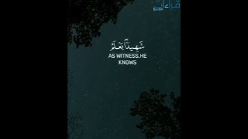 قل كفى بالله بيني وبينكم شهيداً) من أجمل ما سمعت تلاوة تريح البال🌺 "عبدالرحمن مسعد" حالات واتس اب