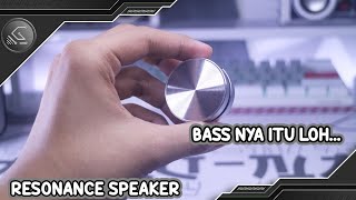 Unique Speaker Review and Unexpected Sound