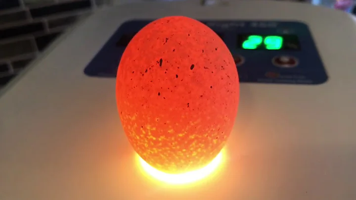 Incubating Eggs, Part 3. Picking Eggs and Loading the Incubator.