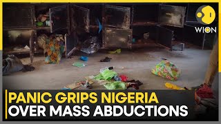 Nigeria Mass Kidnappings: Pope Leo Calls For Immediate Release Of The kidnapped People | WION News
