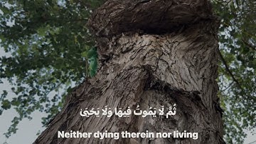 عبد الرحمن مسعد سورة الاعلى || The Holy Quran #القرآن_الكريم 🙏🏻♥️