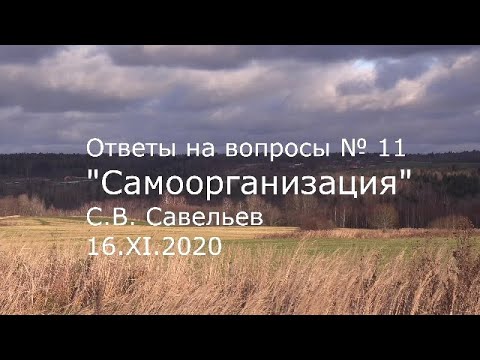 С.В. Савельев -