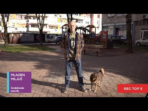 REC Top 5 - Mladen Miljuš, Socijalizacija pasa - [S06E18]