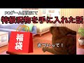 PCゲーム福袋にて特級呪物を手に入れた話 猫ミーム 猫ミーム 福袋 PCゲーム福袋にて特級呪物を手に入れた話 猫ミーム 猫ミーム 福袋