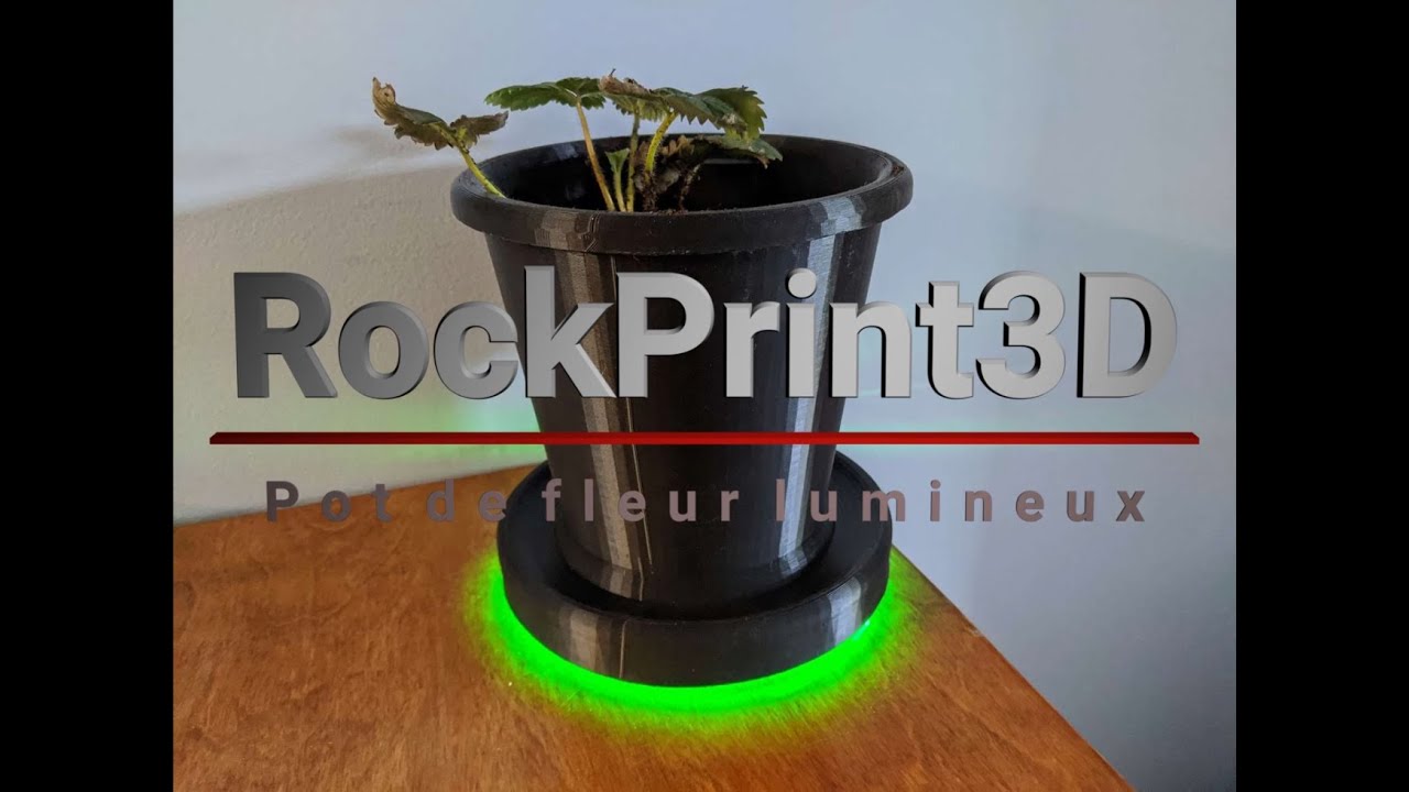 Pot de fleur lumineux