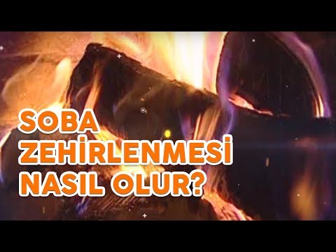 Video: Güdük sökücü zehirli midir?