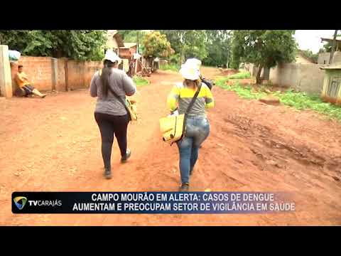 Campo Mourão em alerta: Casos de dengue aumentam e preocupam setor de vigilância em saúde