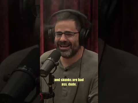 Skunk’s are for 2nd Amendment | Yannis Pappas on Joe Rogan Experience