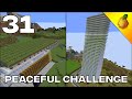 Peaceful Challenge #31: Two Large Projects Finished