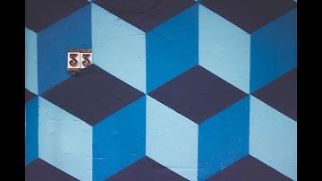 Brain And Behavioral Science Fundamentals Lesson 2