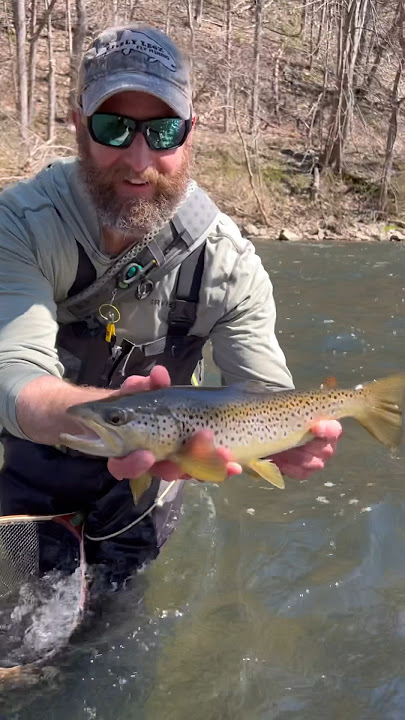 Mono Leader Rig Gets it Done @ Livelylegz.com 😱🎣 .#flyfishing