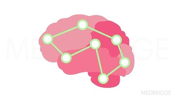 Neuroimaging & Stimulation for Rehabilitation Part 1: Brain Imaging - Michael Borich | MedBridge