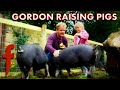 Gordon Raises Pigs In His Garden | The F Word | Gordon Ramsay