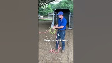 Quick Tips On Trailer Loading Your Horse! Part 2! | The Horse Guru - Michael Gascon