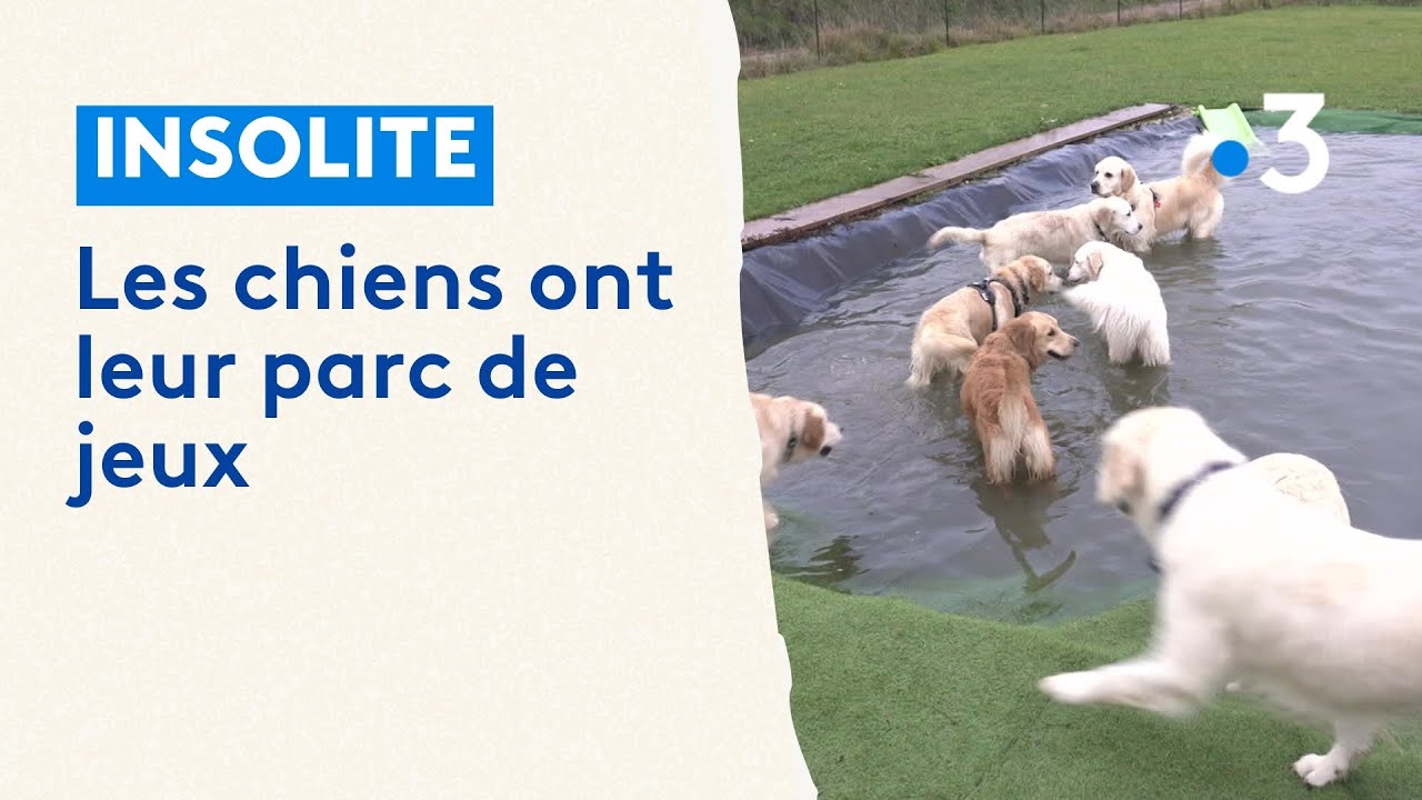 Parc pour chien - ABC chiens