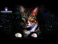 Misión Espiritual del Gato: Protector de tu Hogar y Sanador de Enfermedades
