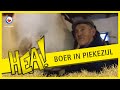 HEA! Boer in Piekezijl