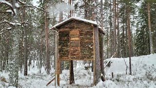 Building a Treehouse in Harsh Winter Conditions screenshot 5