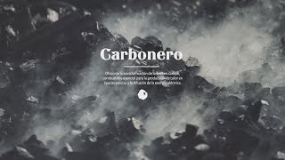 Museo Etnográfico de Cantabria | 'Carbonero'
