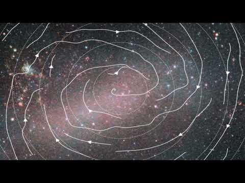 Stellar motions reveal backbone of the Large Magellanic Cloud