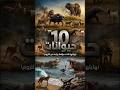 10 حيوانات نهاياتها كانت مؤلمة زيادة عن اللزوم   7