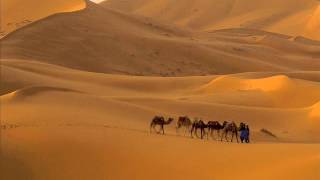 Wind Lines in Silk Road -To The Farthest Land Of The World-(Taro IWASHIRO)