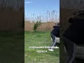 Прибыльный товар для маркетплейсов который не нужно закупать