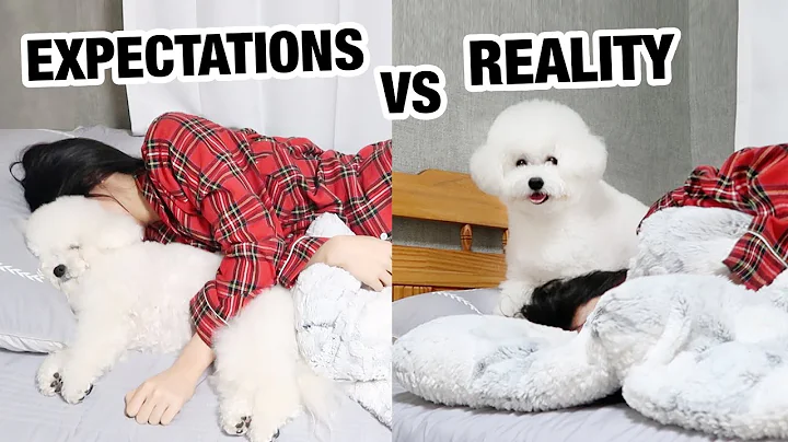 Owning A Dog: Expectations vs. Reality - DayDayNews
