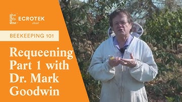 Beekeeping 101: Requeening Part 1 - How often should you requeen a beehive? - Dr Mark Goodwin