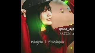 Story' wa kekinian ( Sewu Kuto Devy geranium)