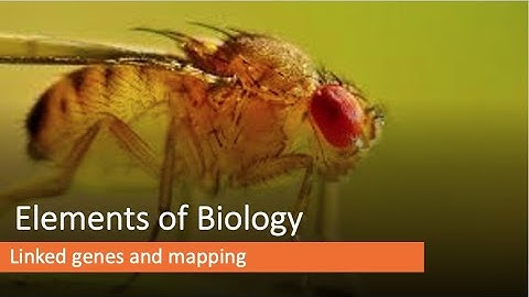 Linkage mapping
