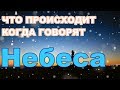 Потрясающая информация о том кто такой человек