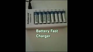 Doublepow Smart Fast Charger