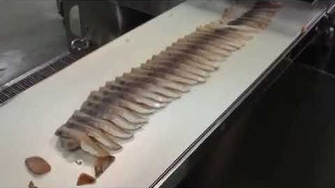 Máy cắt cá hồi SSN-180 Nantsune japan