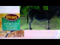 Funny Donkey Meat Poetry In Punjabi