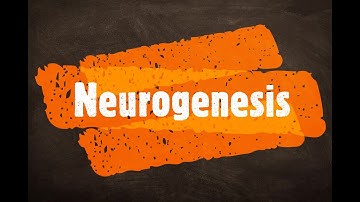 Neurogenesis | Breakthrough Junior Challenge 2020