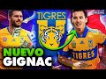 ¿QUIÉN #@$! ES THAUVIN? ¡Un CAMPEON DEL MUNDO en TIGRES!