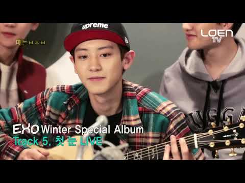 [MV] EXO - First Snow - OT12 moments during christmas day