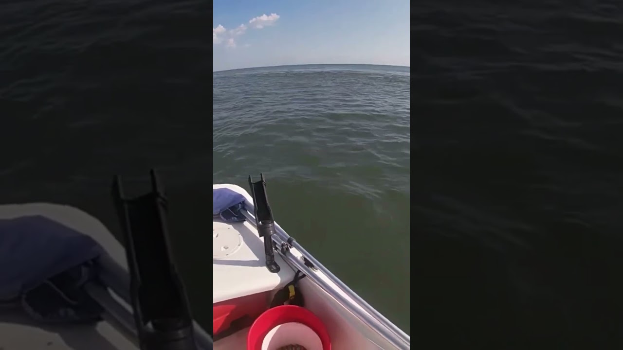 Fishing the ice breakers Lewes Delaware  