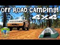 4x4 tracker offroad tent camping arizona white mountains with cats