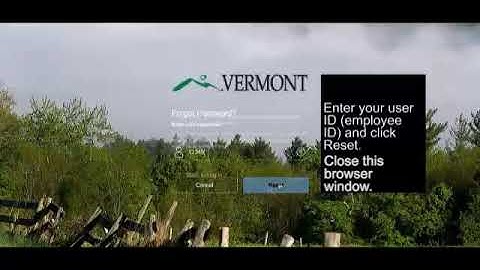 Initial Login and Resetting your Password in SuccessFactors