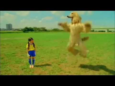 creepy-japanese-calbee-consome-panchi-dog-commercials