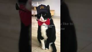 Meow Meows First Day At Mcdonalds 