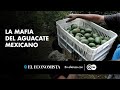 La mafia del aguacate mexicano