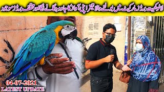 Lalukhet Exotic Birds Market 4-7-2021 Karachi Latest Updates In Urdu\/Hindi