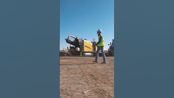 Here today, here tomorrow. It